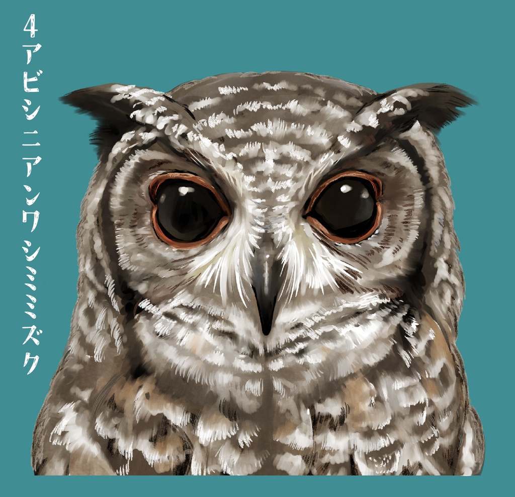 DLフクロウどあっぷイラスト