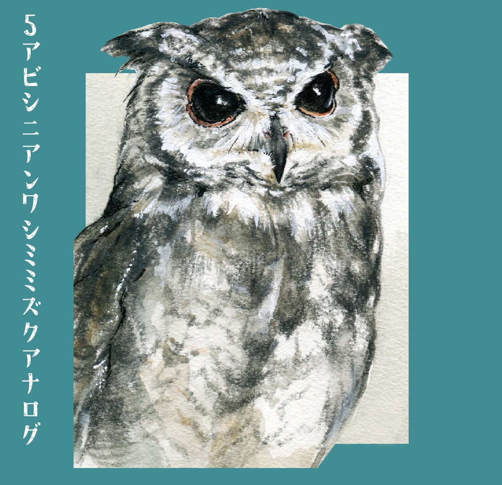 DLフクロウどあっぷイラスト