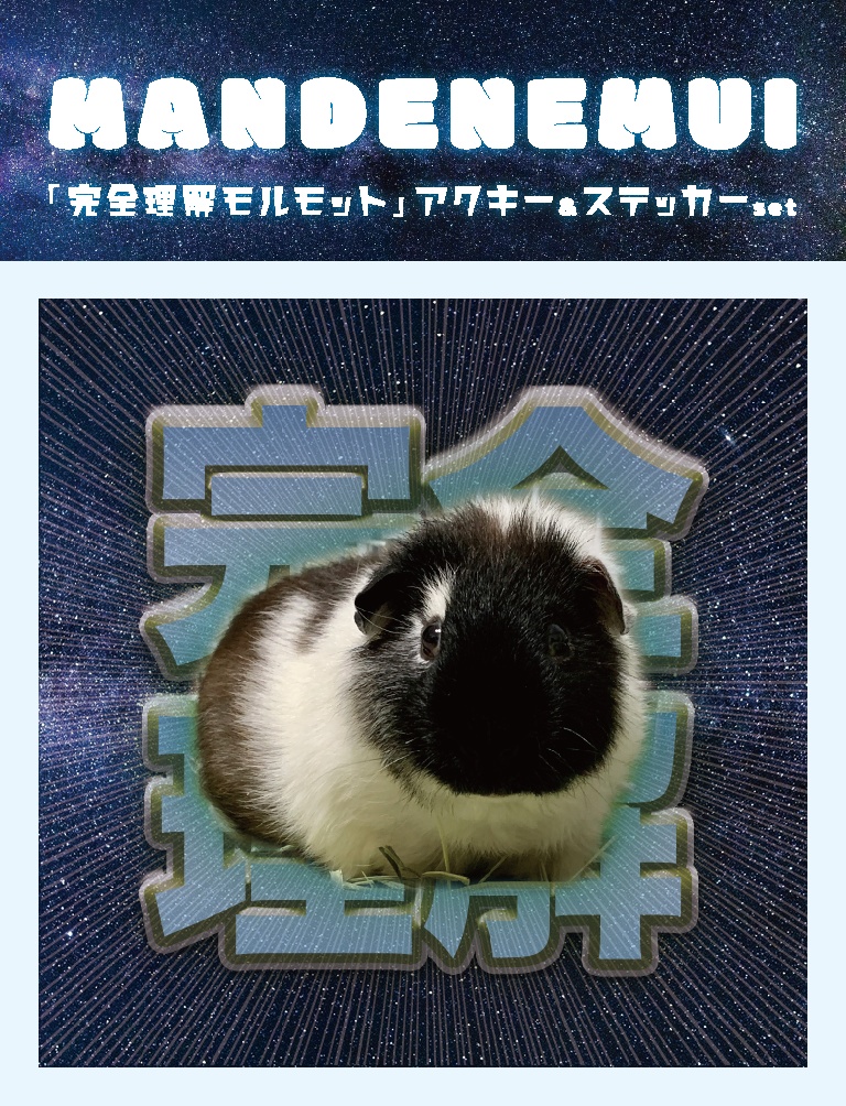 「完全理解モルモット」アクキー&ステッカーset