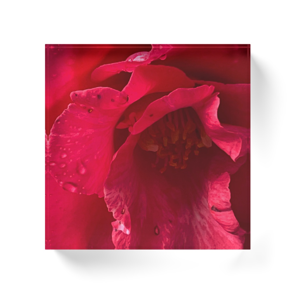 椿アクリルブロック(赤)