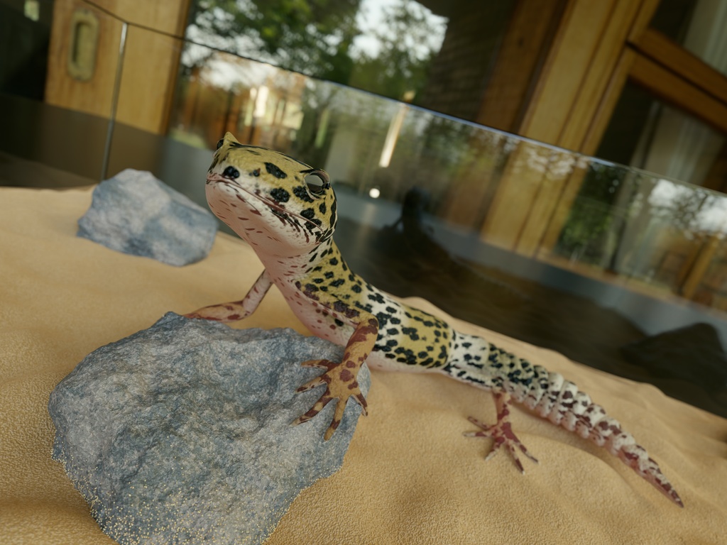3Dモデル ヒョウモントカゲモドキ