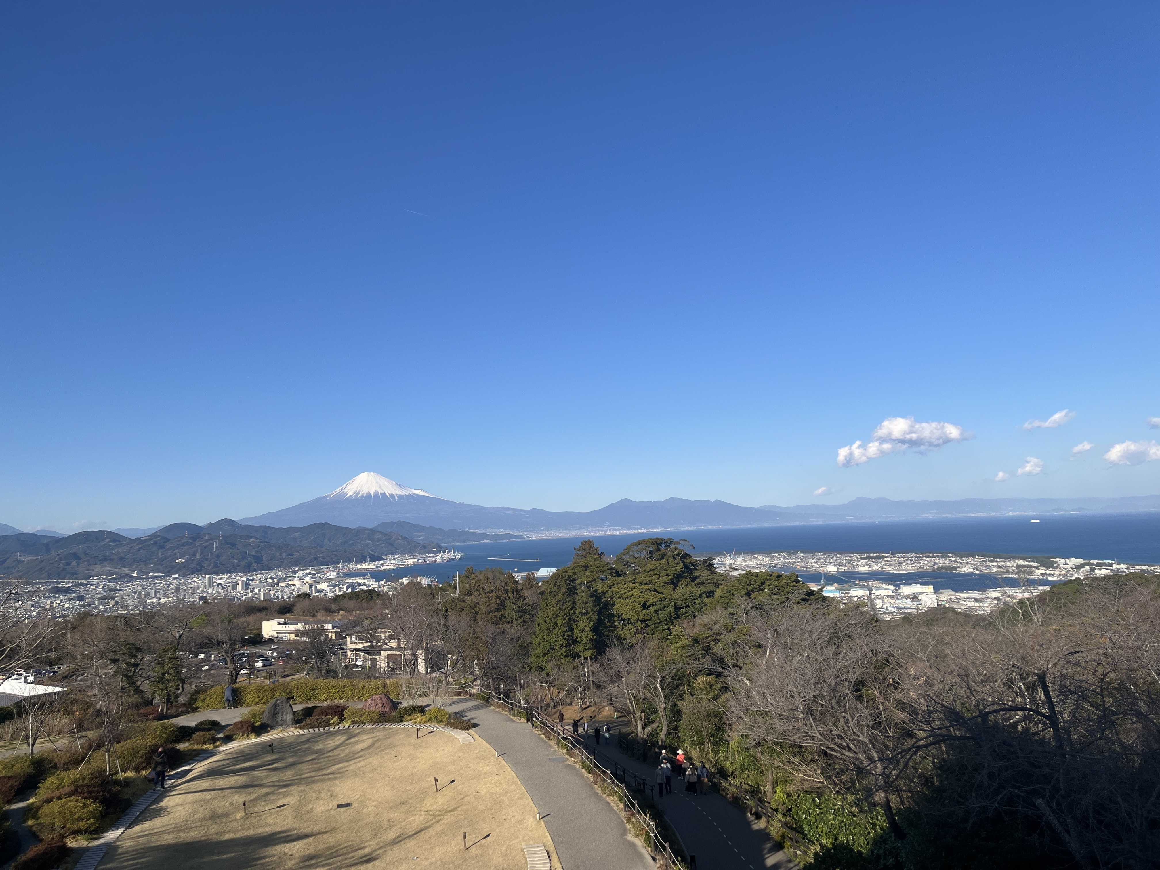 静岡県と埼玉県のカルトクイズ - 捨て鉢書房 - BOOTH