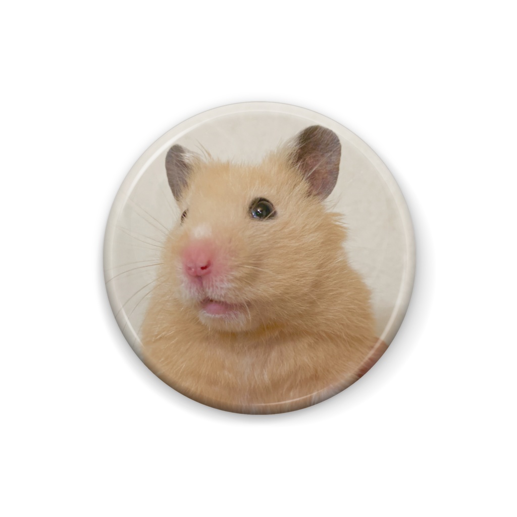 エコちゃん缶バッジ