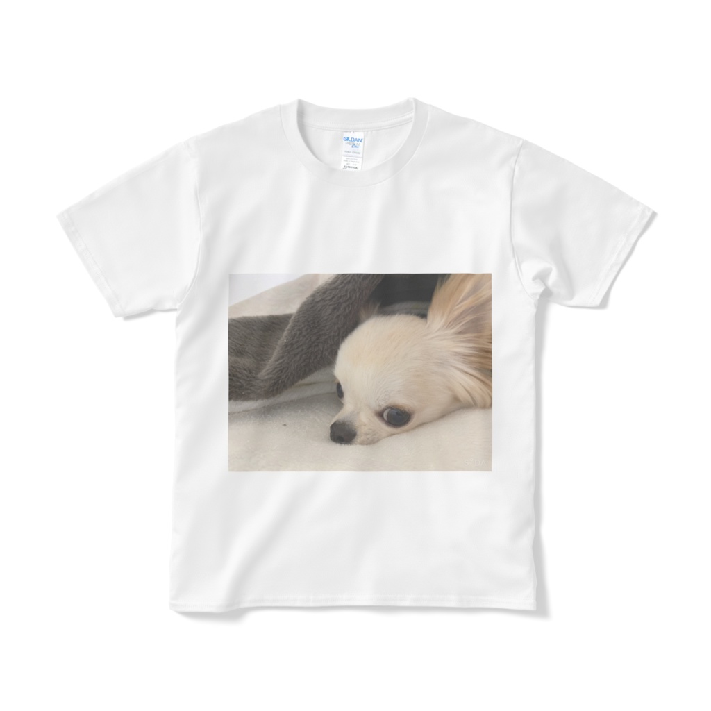 シンプルTシャツ