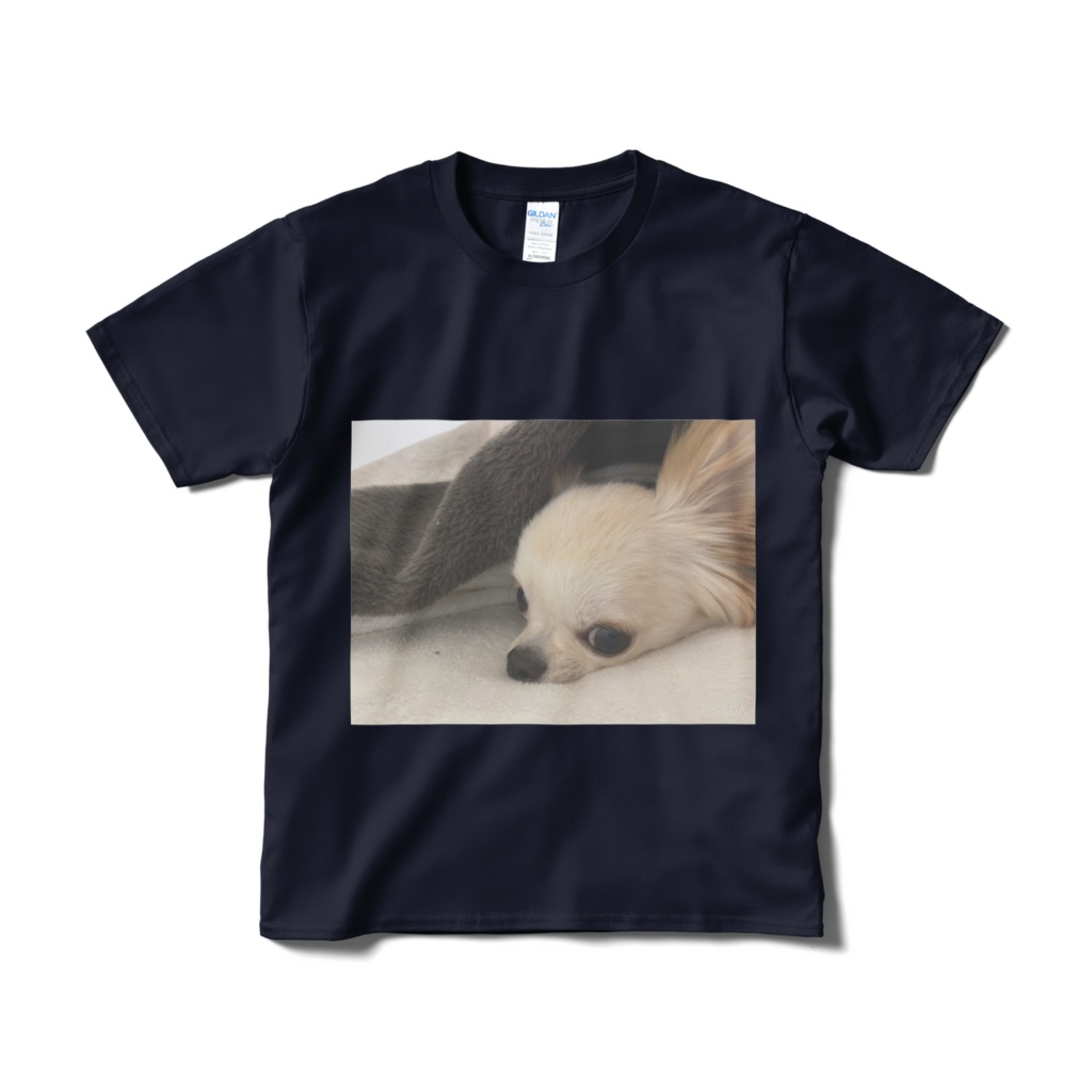 シンプルTシャツ