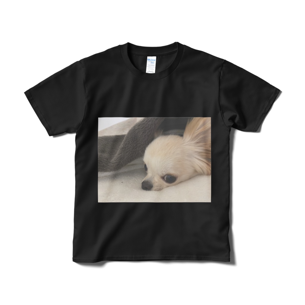 シンプルTシャツ