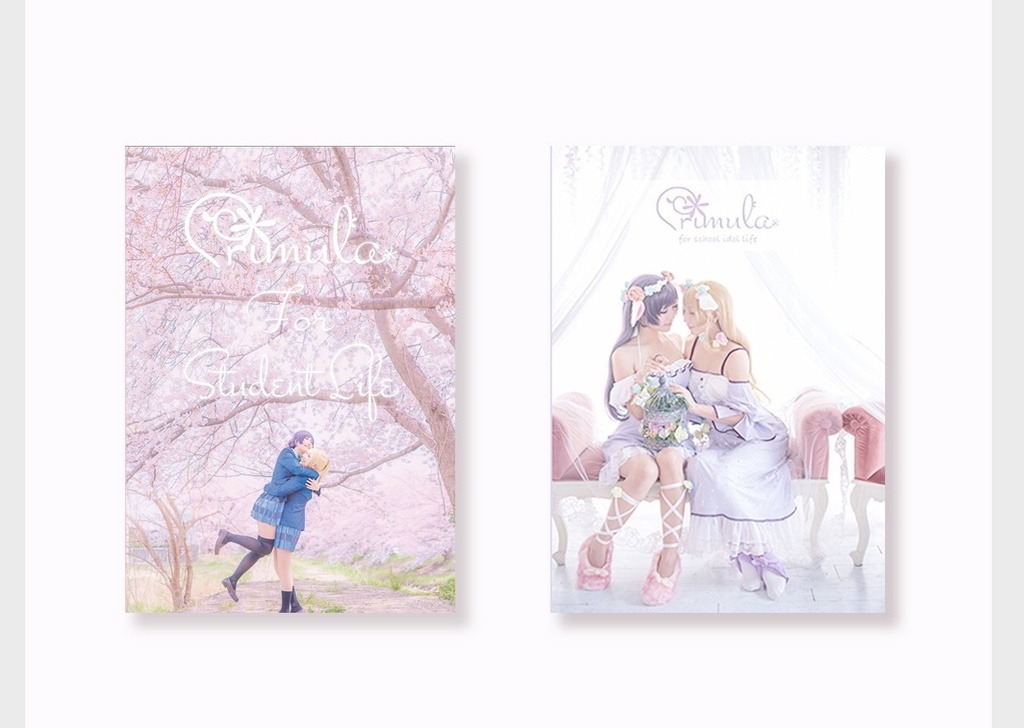 C97 新刊スペシャルセット *LoveLive!! のぞえり写真集*