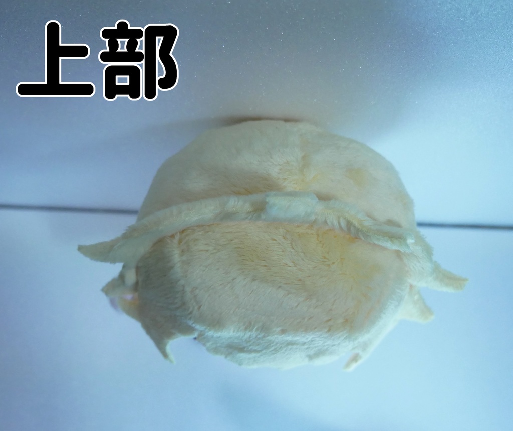 【wawaちゃん】創作ぬい 004【ハンドメイド】