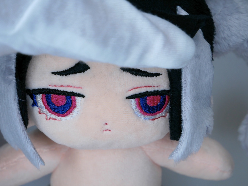 【wawaちゃん】創作ぬい(本体のみ) 003【ハンドメイド】