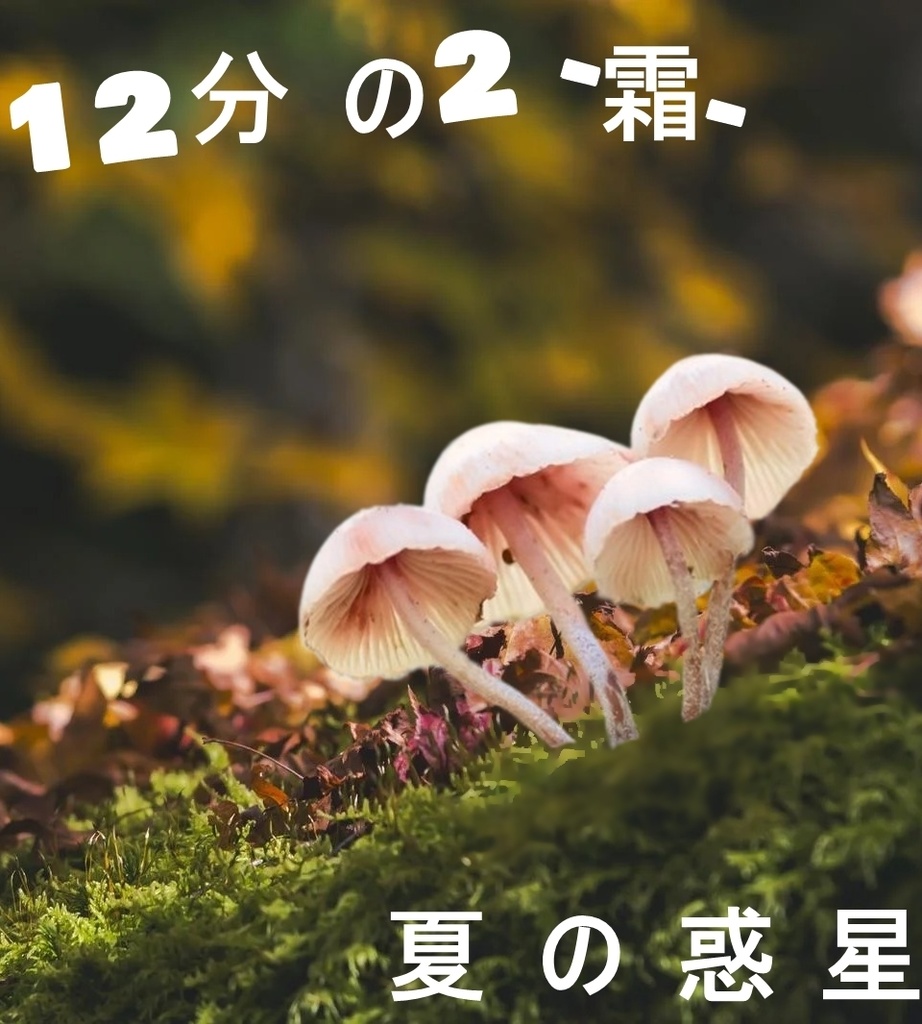 12分の2-霜-