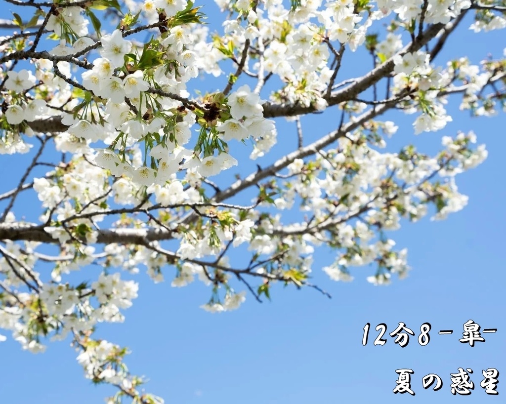 12分の8-皐-