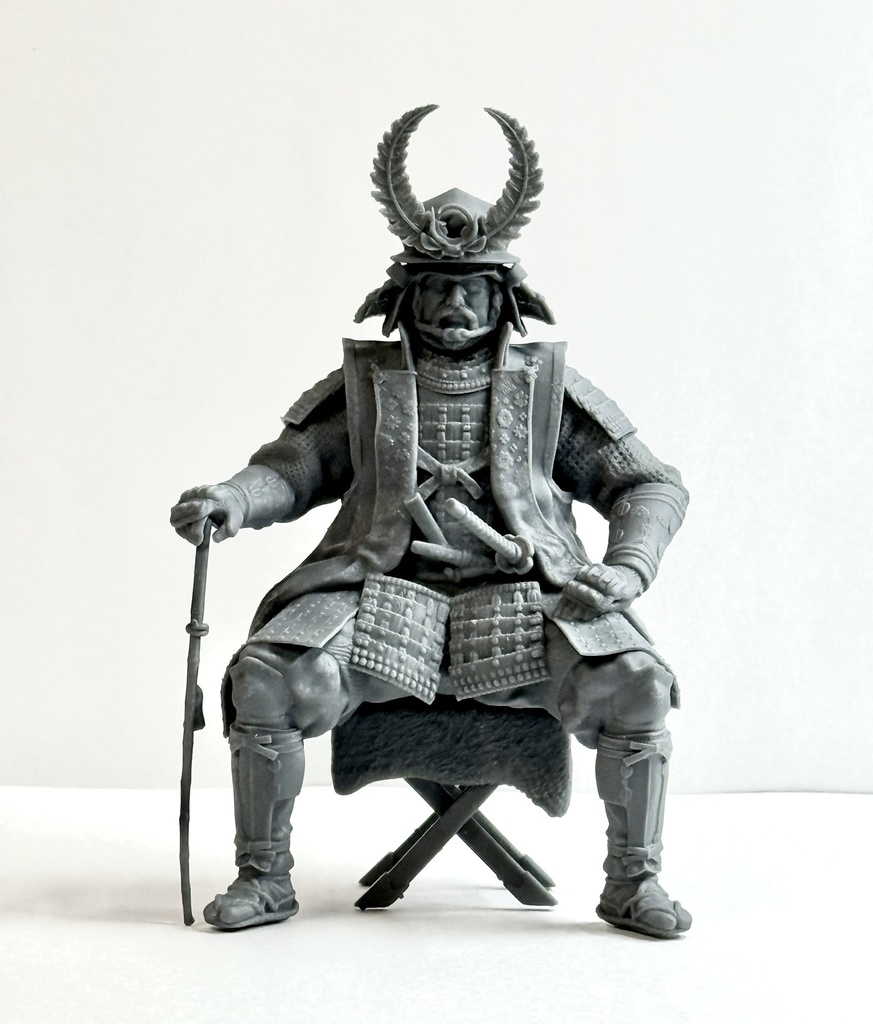 徳川家康 ”伊予札黒糸威胴丸具足”