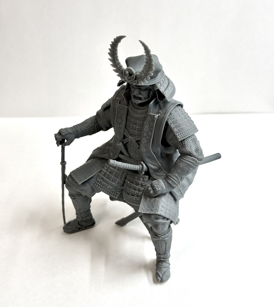 徳川家康 ”伊予札黒糸威胴丸具足”