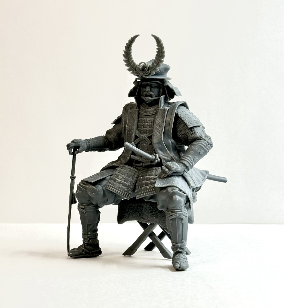 徳川家康 ”伊予札黒糸威胴丸具足”