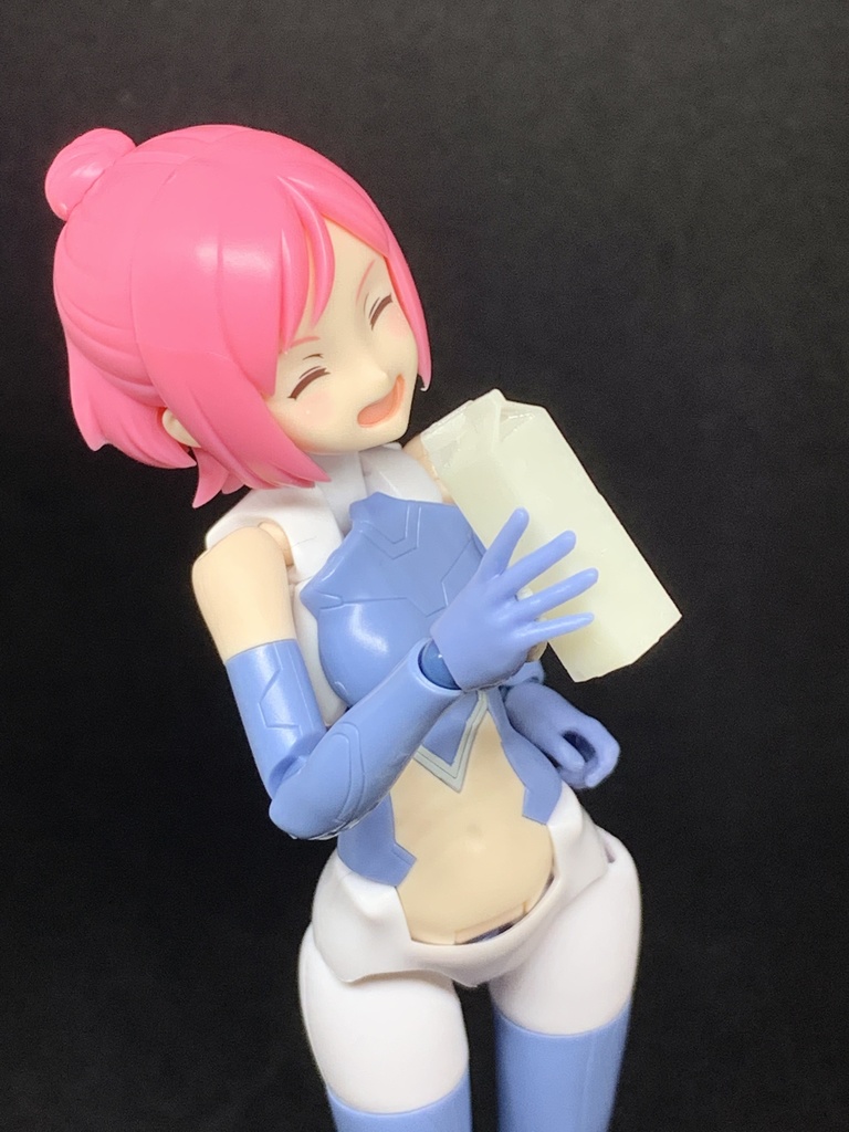 1/12 牛乳パック 2種セット