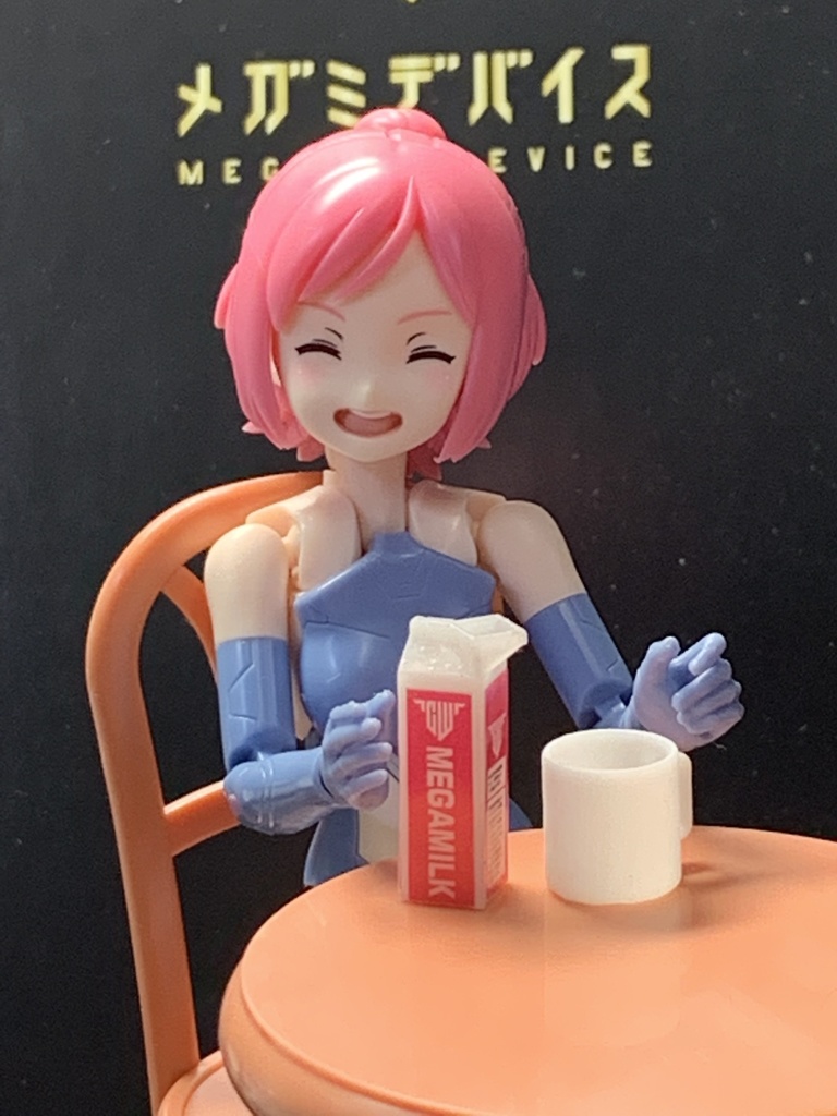 1/12 牛乳パック 2種セット