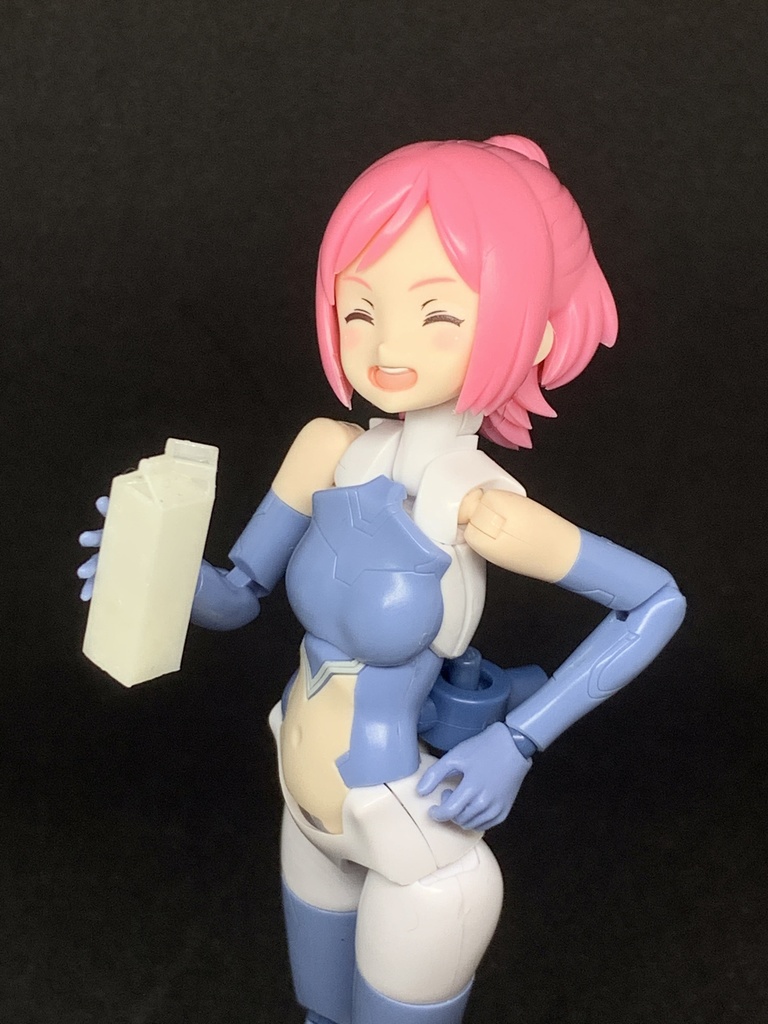 1/12 牛乳パック 2種セット