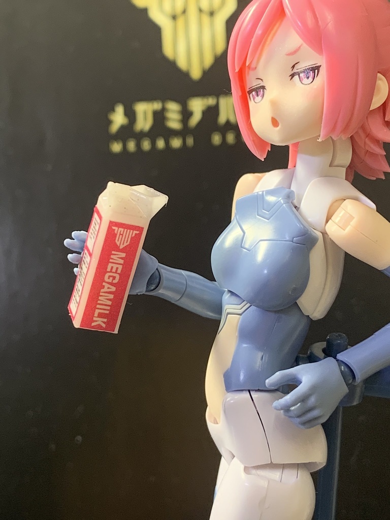 1/12 牛乳パック 2種セット