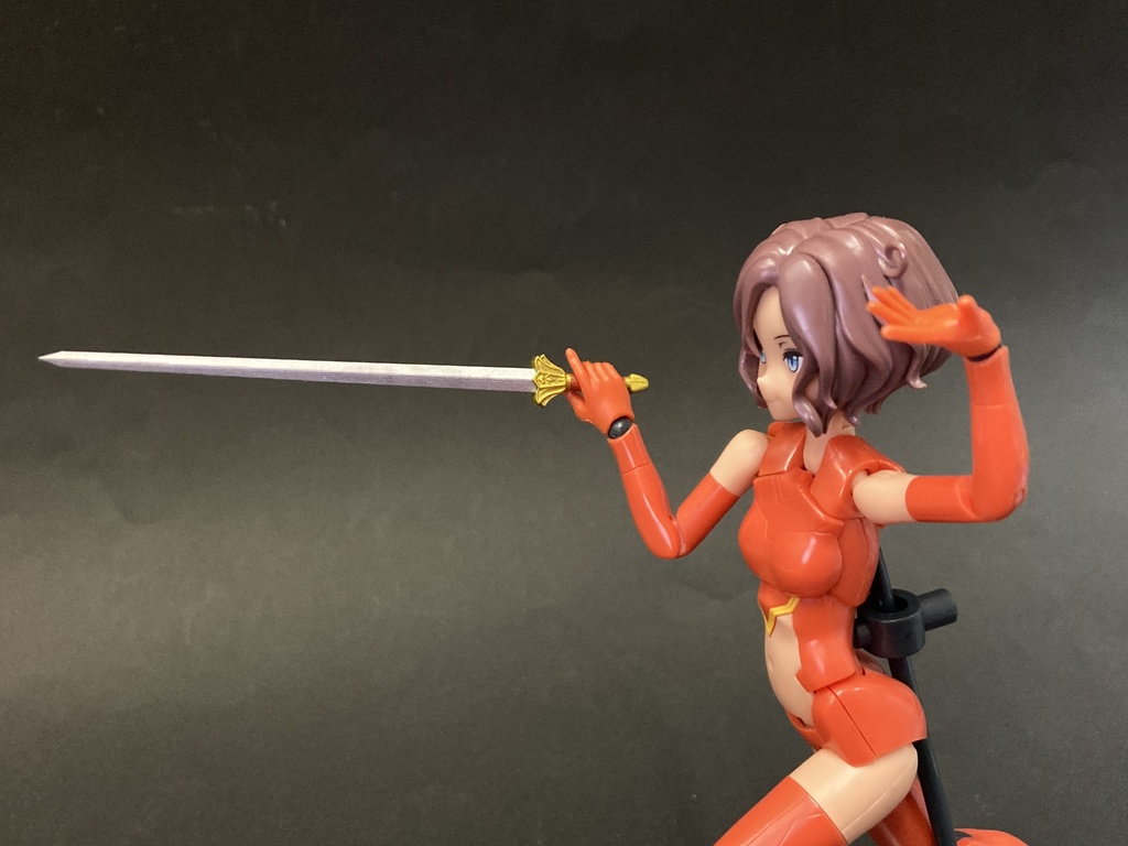 太極剣 1/10~1/12用