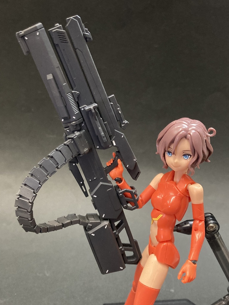 スマートガン 1/10~1/12