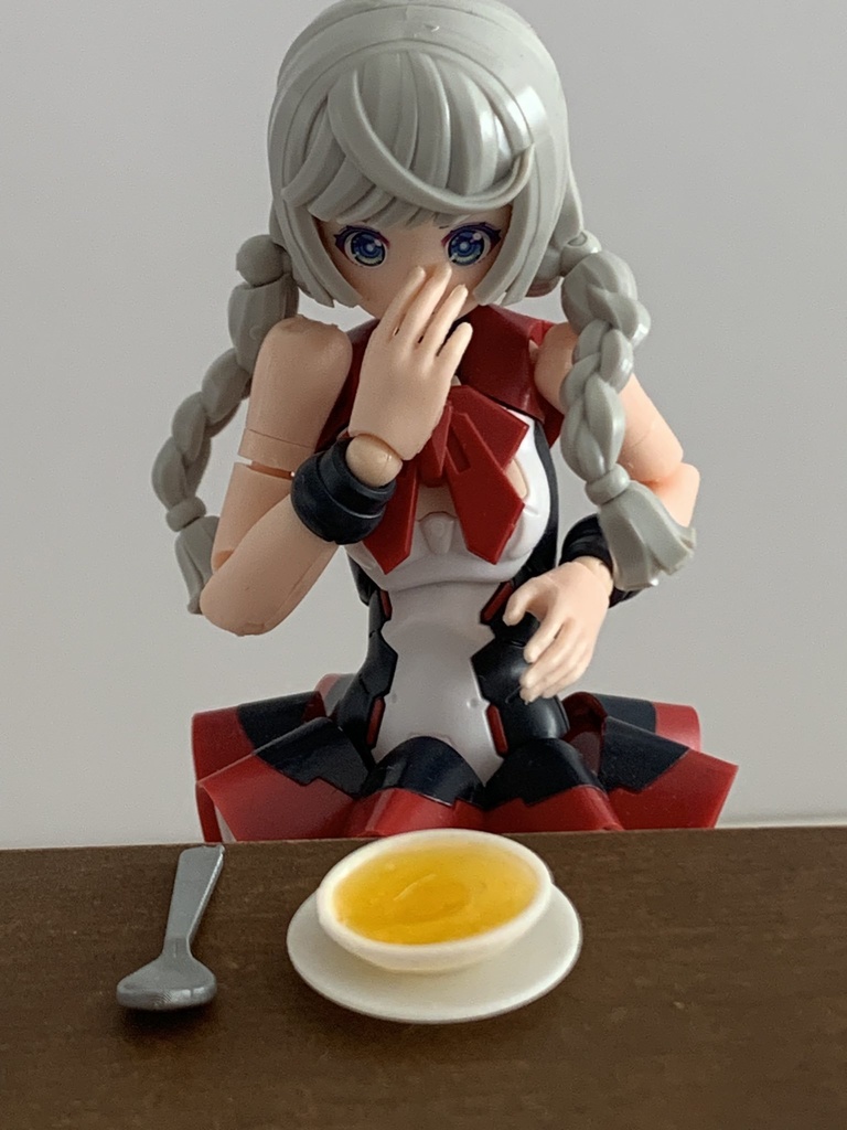 1/12 チキンブロス(コンソメスープ) 1食分セット