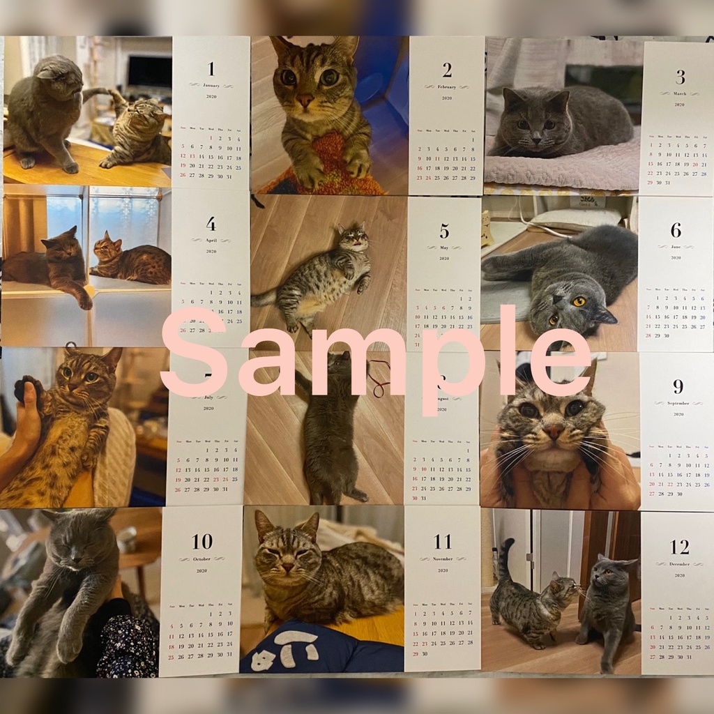 2020年 猫のさばみそ&ごましお 猫カレンダー
