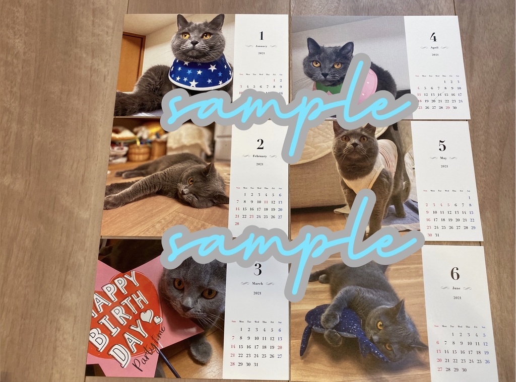 2021猫のさばみそ&ごましおカレンダー(さばみそver.)