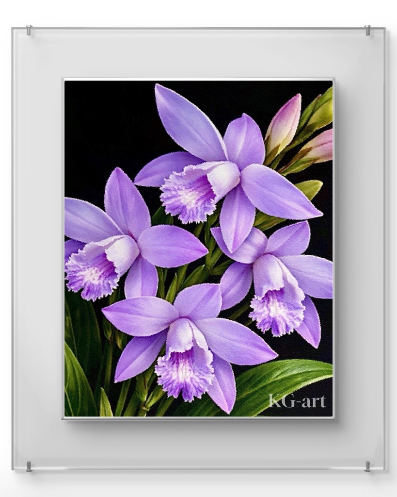 紫蘭 / Hyacinth Orchid