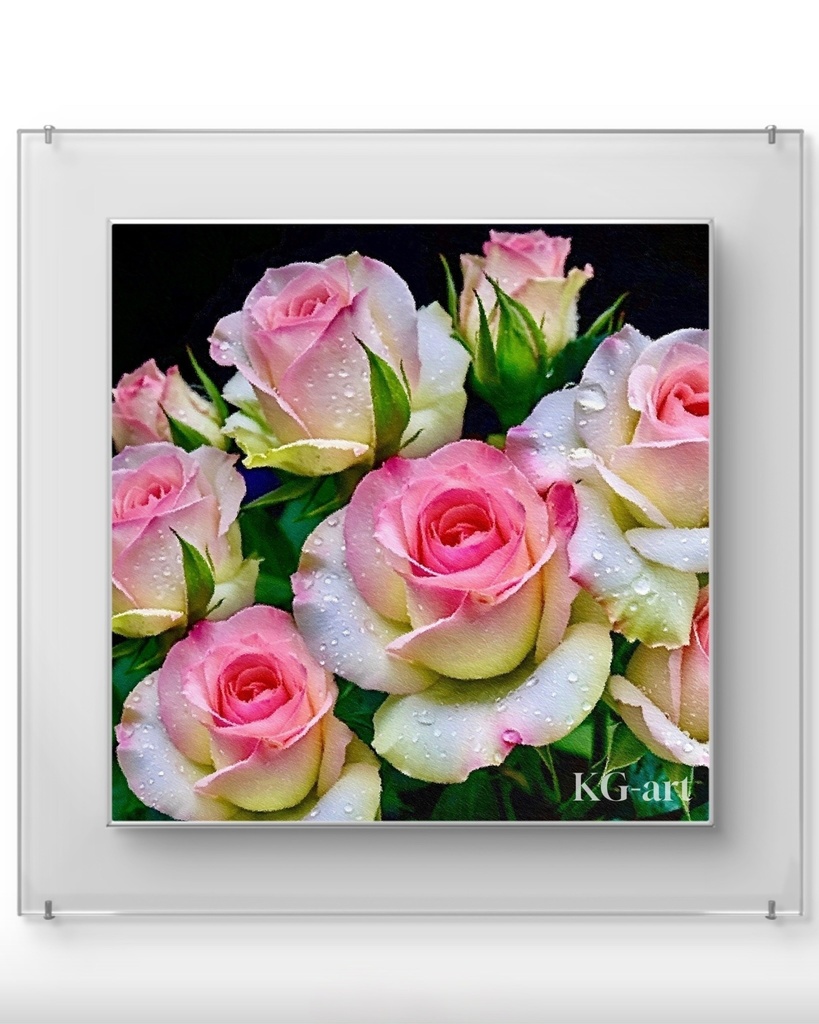 ピエール・ドゥ・ロンサール / Pierre de Ronsard