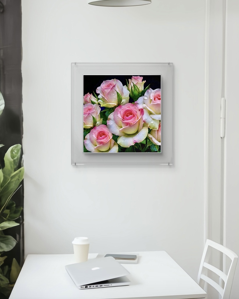 薔薇 / Rose