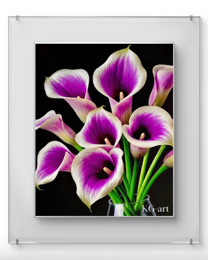 カラーリリー / Calla Lily