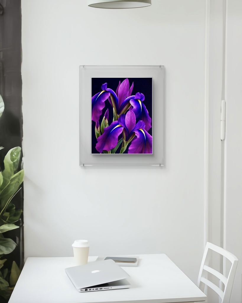 花菖蒲 / Japanese Iris