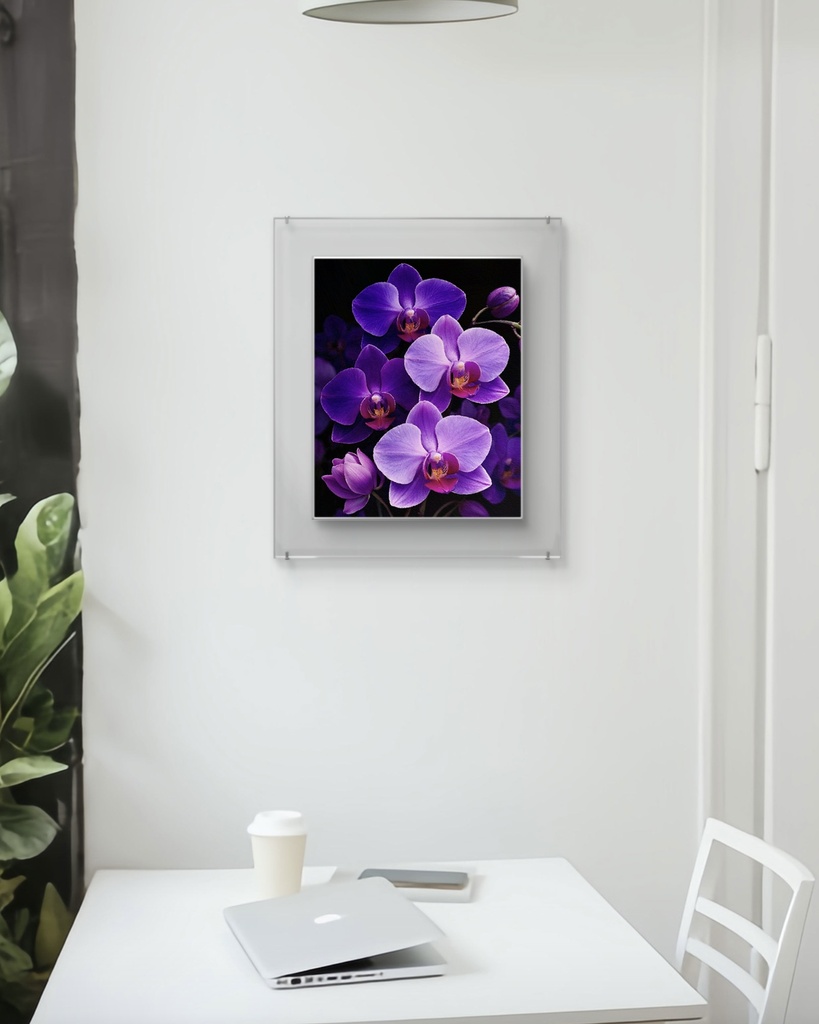 胡蝶蘭 / Phalaenopsis orchid