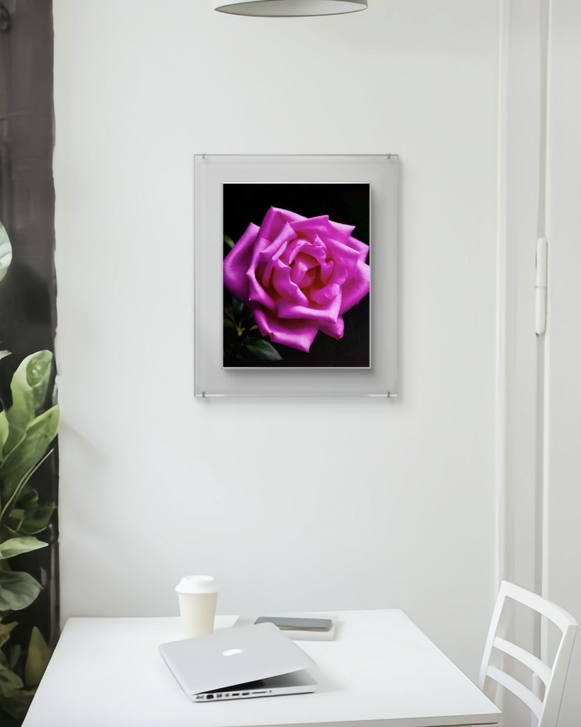 薔薇 / Rose