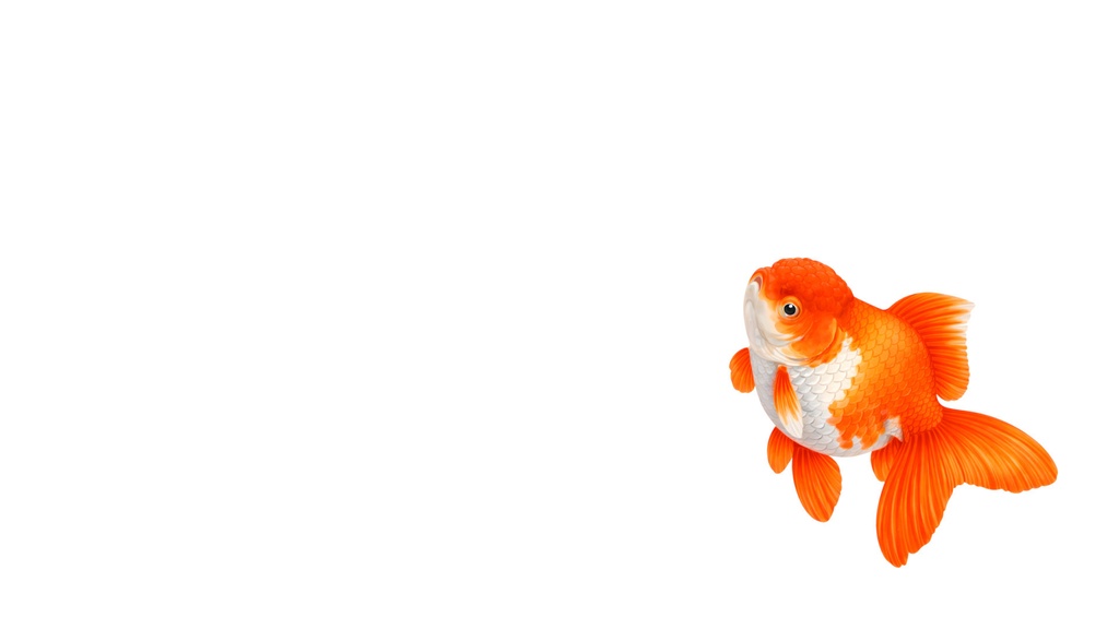 和風背景素材｜金魚（オランダ獅子頭）左右配置セット（10点・4K・高解像度・商用利用可）