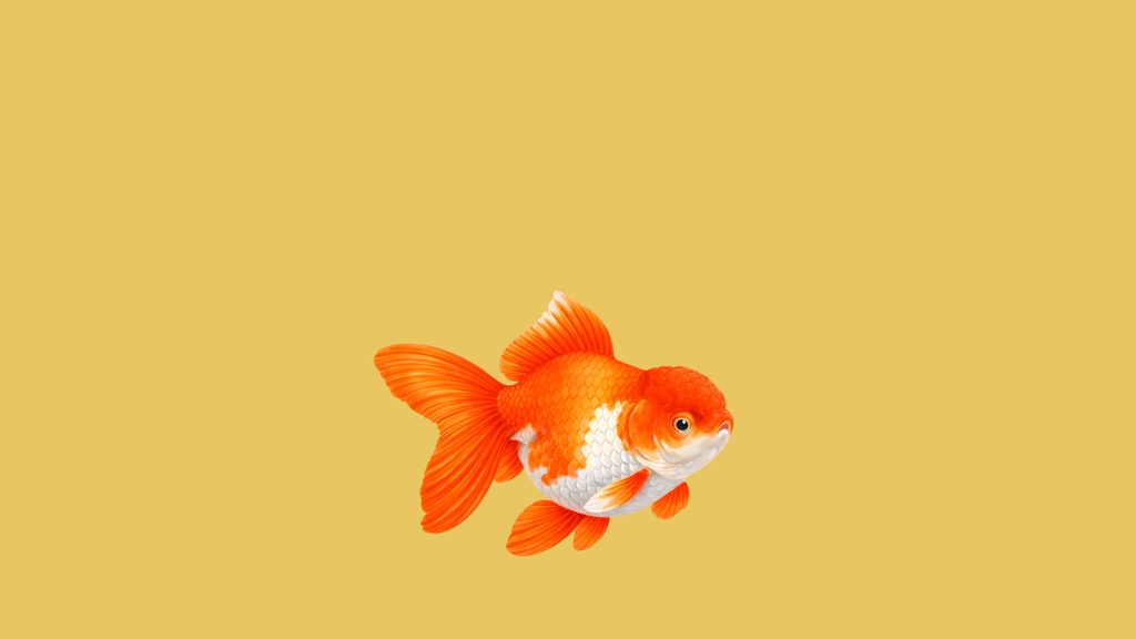 和風背景素材|金魚1号 オランダ獅子頭・中央下配置左右セット(10点・6000px・軽量版・商用利用可)