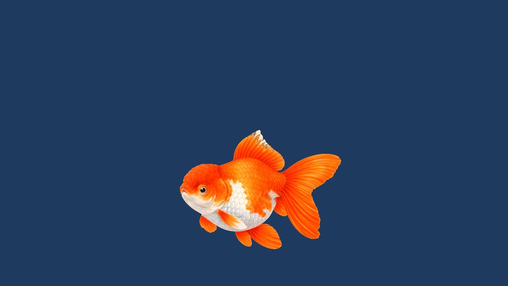 和風背景素材|金魚1号 オランダ獅子頭・中央下配置左右セット(10点・6000px・軽量版・商用利用可)
