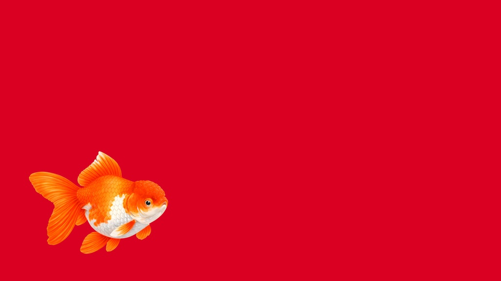 和風背景素材|金魚1号 オランダ獅子頭・0度左右下配置セット10点・7680x4320PNG(高解像度・商用利用可)