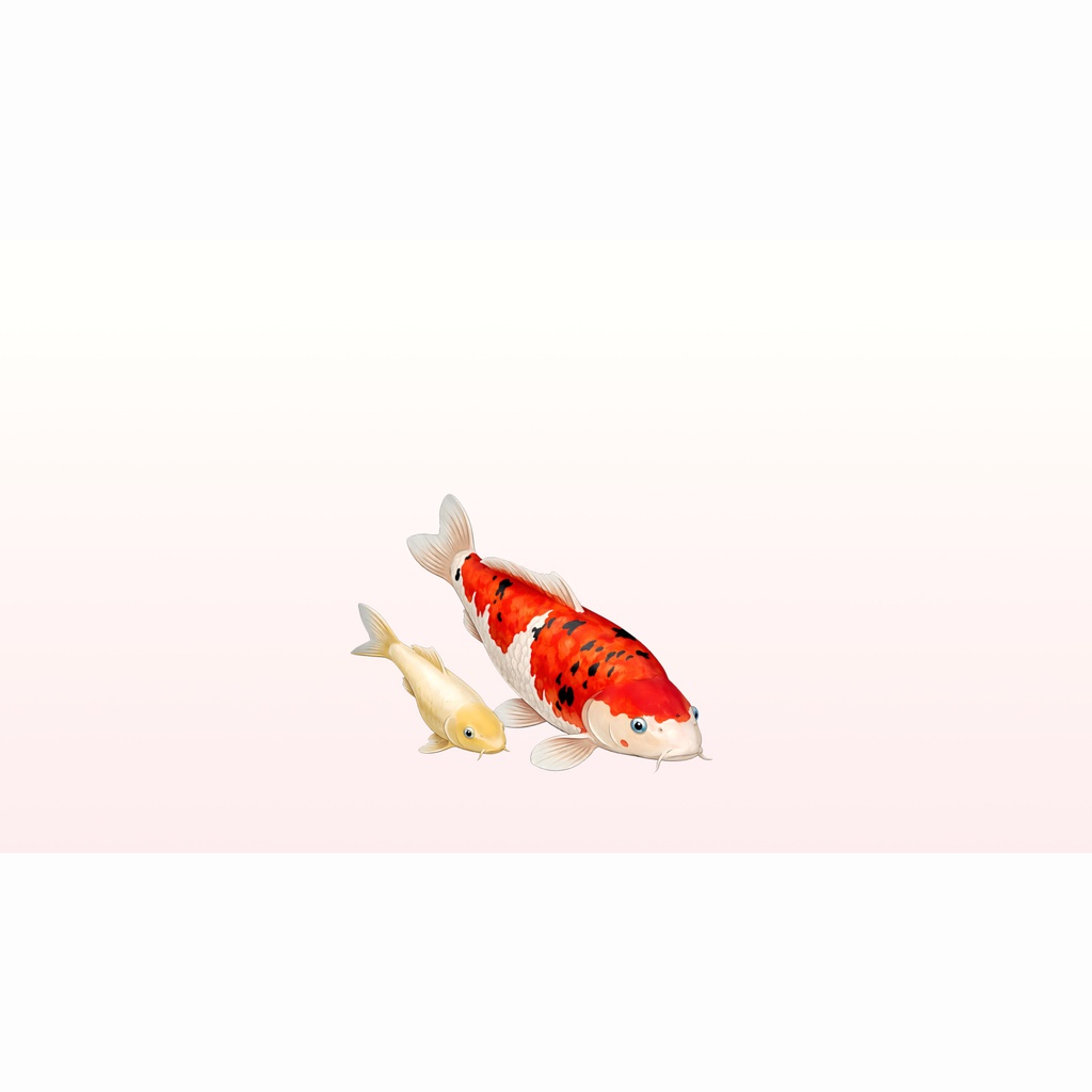 和風背景素材|親子鯉01 和紙セット(白和紙・金和紙)10枚・6000x3375JPEG(軽量版・商用利用可)