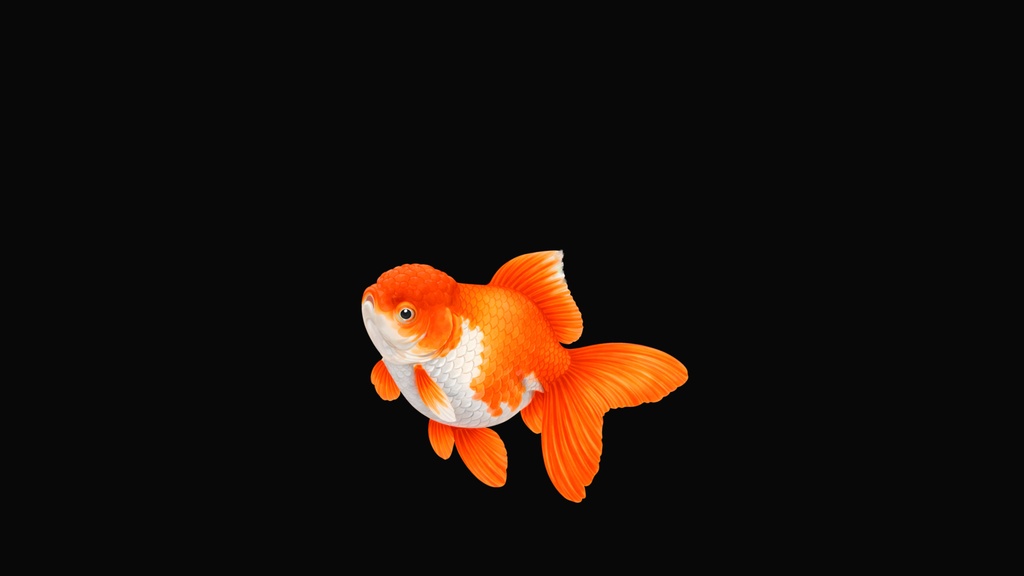 和風背景素材|金魚1号・中央下配置25度・単色5色セット計10点・6000x3375JPEG(軽量版・商用利用可)