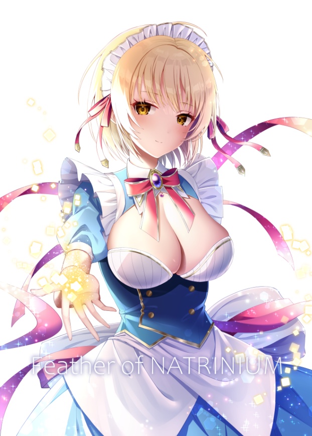 【電子】Feather of NATRINIUM／ナトリニウム【東方同人誌：イラスト集】