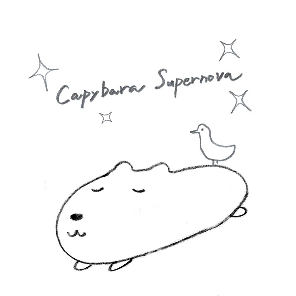 Capybara Supernova