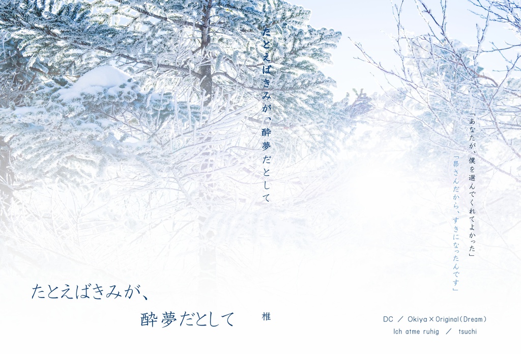 たとえばきみが、酔夢だとして