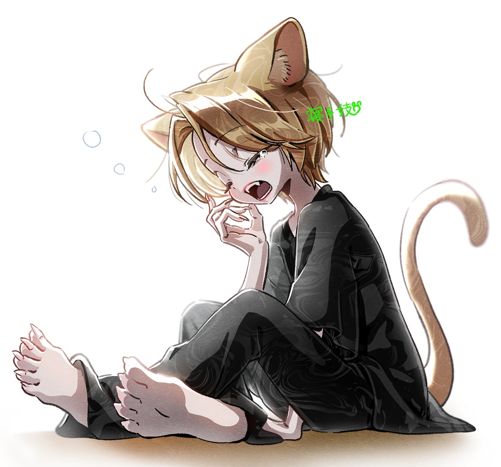 ねむねむにゃんこ素材