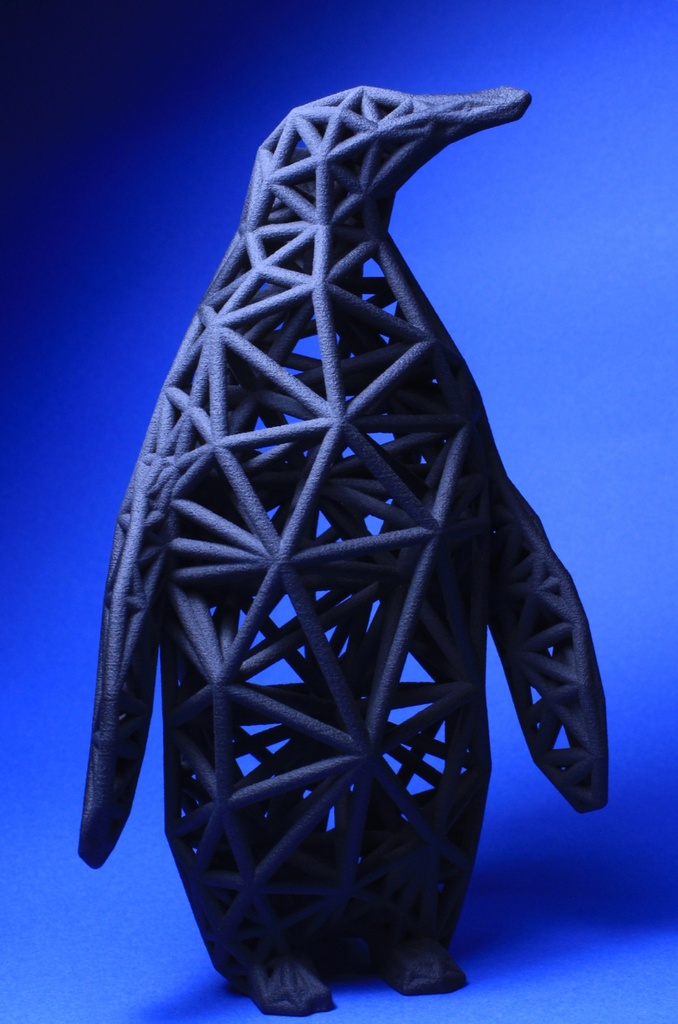 lattice penguin object Designed by nama 