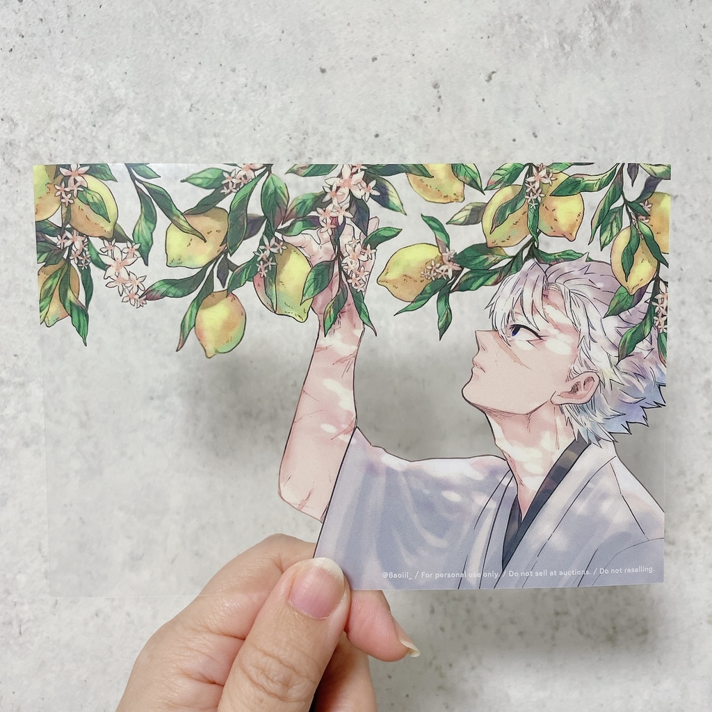 【再再販】檸檬の透明ポストカード