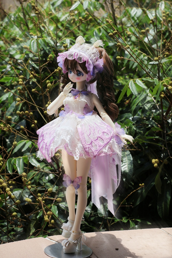 「即納」胡蝶仙(ドール・Obitsu共通)