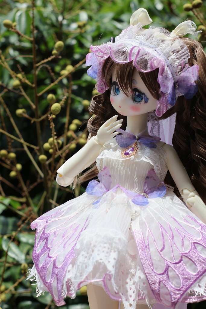 「即納」胡蝶仙(ドール・Obitsu共通)