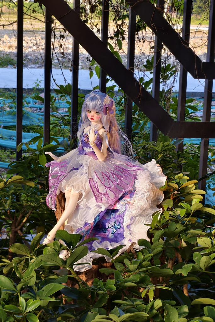 蝶柄礼装 (1/4ドール共通)