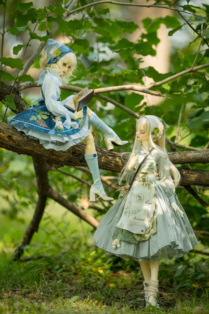 ボタニスト(1/3ドール共通)